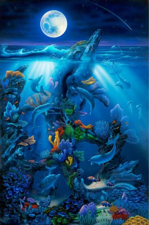 Kids Rooms | Dolphin Reef (Miller) Wall Mural Animals Animals