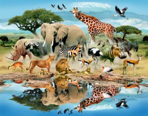 Kids Rooms | Watering Hole Wallpaper Mural Animals Animals