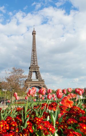 Landmarks | Tulips And Eiffel Tower Wall Mural Landmarks Landmarks