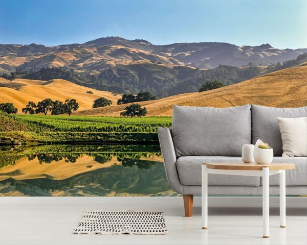 Landscapes & Scenic | California Central Coast Vineyards Mural Wallpaper Landscapes & Scenic Landscapes & Scenic