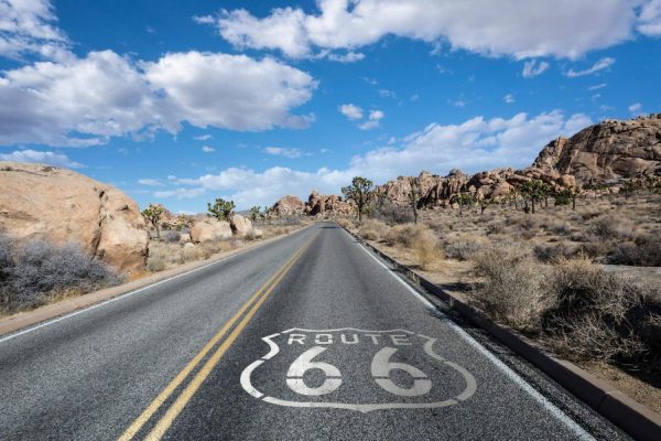 Landscapes & Scenic | California Desert Joshua Tree Highway With Route 66 Wall Mural Landscapes & Scenic Landscapes & Scenic