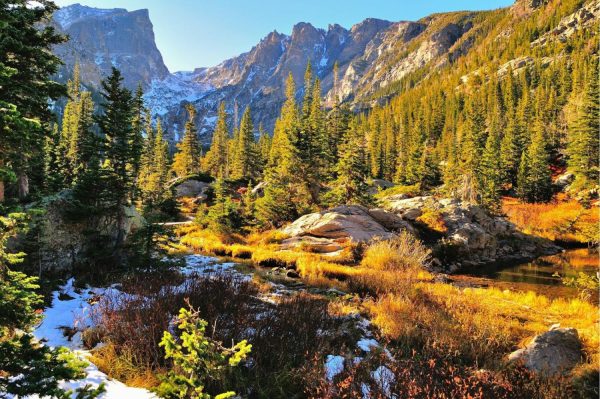 Landscapes & Scenic | Colorful Rocky Mountain Forest Mural Wallpaper Landscapes & Scenic Landscapes & Scenic