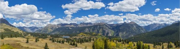 Landscapes & Scenic | Elevated view of trees on landscape from Molas Pass Wall Mural Landscapes & Scenic Landscapes & Scenic