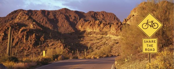 Landscapes & Scenic | Gates Pass Road Tucson Mountain Park Wall Mural Landscapes & Scenic Landscapes & Scenic