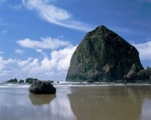 Landscapes & Scenic | Haystack Rock With Seagulls Mural Wallpaper Landscapes & Scenic Landscapes & Scenic