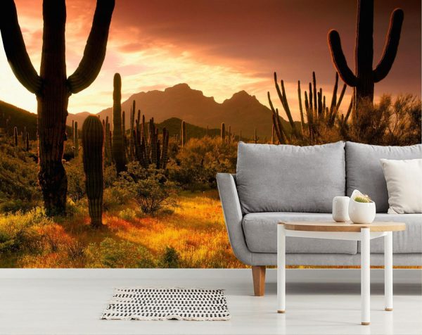 Landscapes & Scenic | Lower Sonoran Sunrise Wallpaper Mural Landscapes & Scenic Landscapes & Scenic