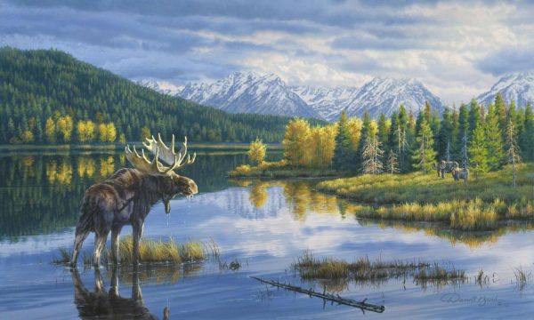 Landscapes & Scenic | Moose Lake Wall Mural Animals Animals