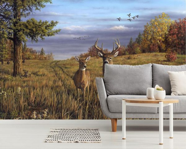 Landscapes & Scenic | Pasture Whitetails Wall Mural Animals Animals