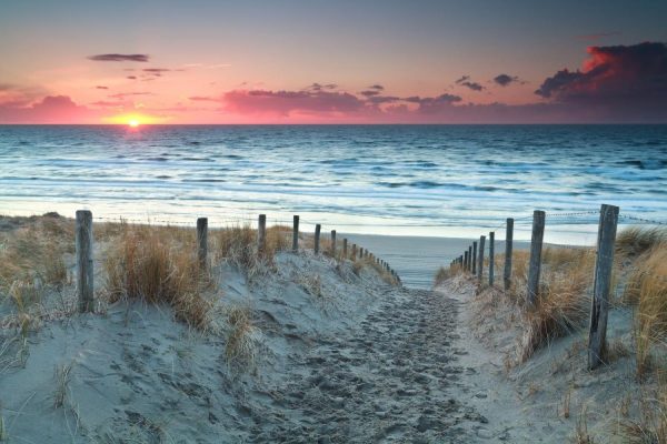 Landscapes & Scenic | Sand Path To The North Sea Before Sunset In Holland Wall Mural Landscapes & Scenic Landscapes & Scenic