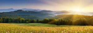 Landscapes & Scenic | Sunset Over The Mountains In Ukraine Wall Mural Landscapes & Scenic Landscapes & Scenic