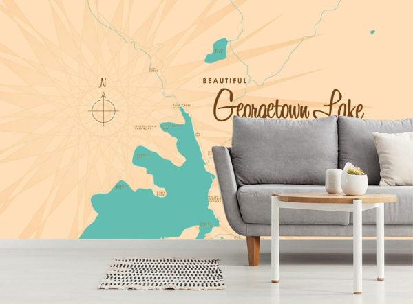 Maps & Flags | Georgetown Lake, MT Lake Map Wall Mural Maps & Flags Maps & Flags