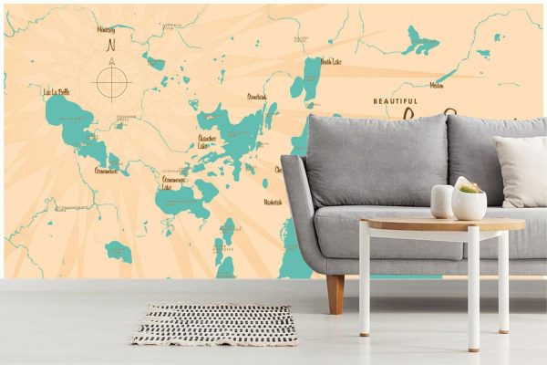 Maps & Flags | Lake Country of Waukesha County, WI Lake Map Wallpaper Mural Maps & Flags Maps & Flags