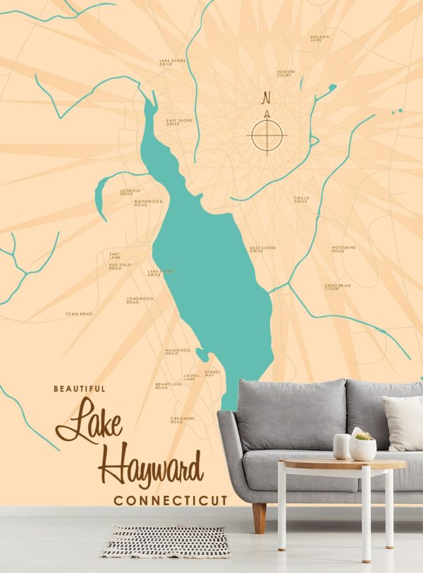 Maps & Flags | Lake Hayward, CT Lake Map Mural Wallpaper Maps & Flags Maps & Flags