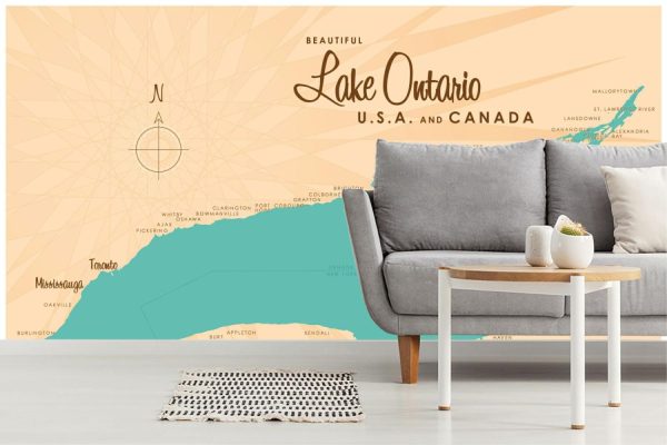 Maps & Flags | Lake Ontario, NY Lake Map Wallpaper Mural Maps & Flags Maps & Flags