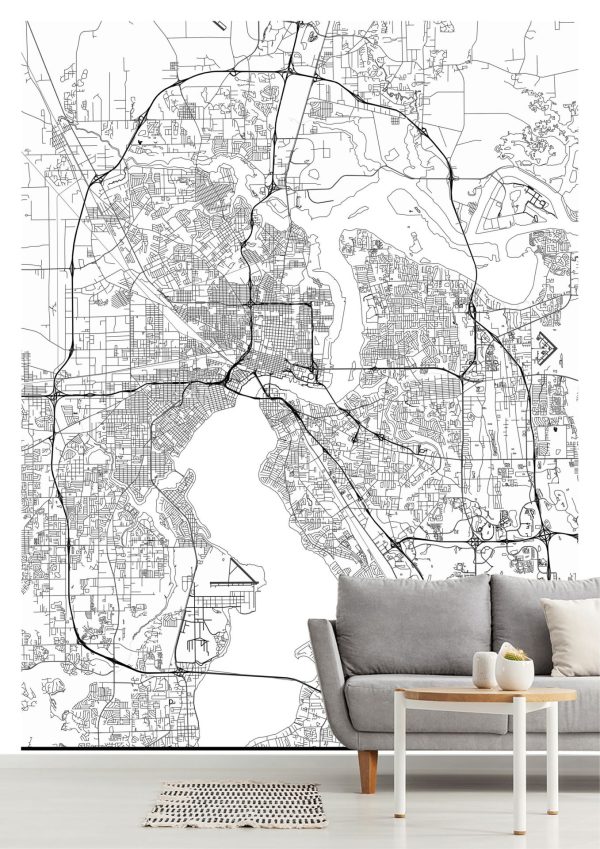 Maps & Flags | Map Of Jacksonville, FL Wallpaper Mural Art & Graphics Art & Graphics