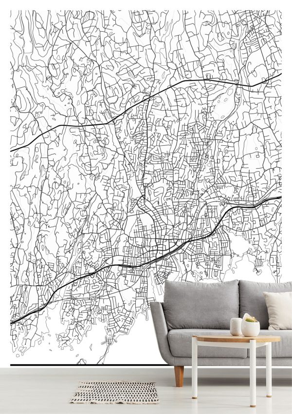 Maps & Flags | Map Of Stamford Connecticut Wallpaper Mural Maps & Flags Maps & Flags