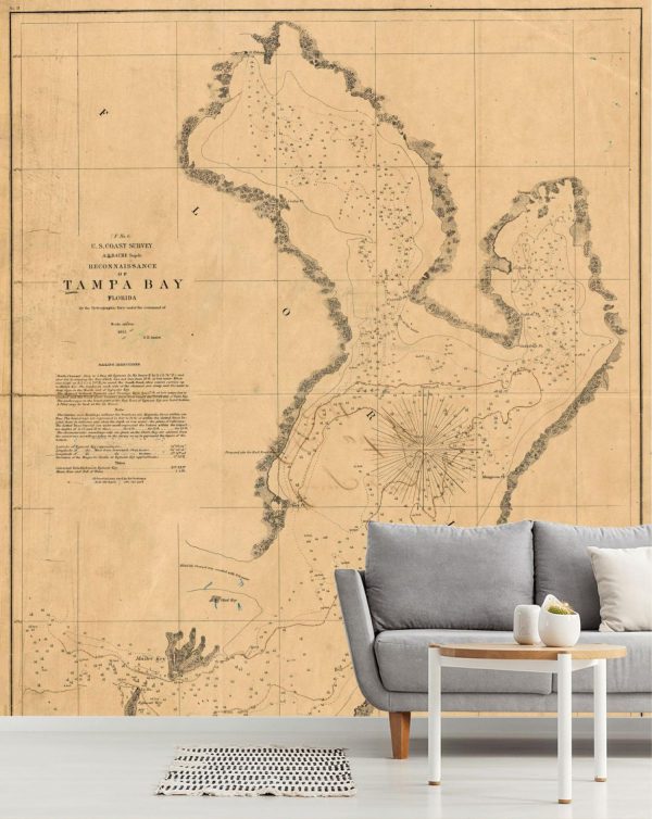 Maps & Flags | Tampa Bay, FL 1855 Map Wallpaper Mural City & Skyline City & Skyline