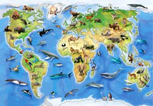 Maps & Flags | World Animal Atlas Wall Mural Kids Rooms Kids Rooms