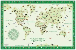 Maps & Flags | World Animals Map – Green Wall Mural Maps & Flags Maps & Flags