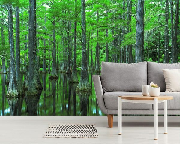 Nature | Apalachicola River Basin Cypress Mural Wallpaper Colors Colors