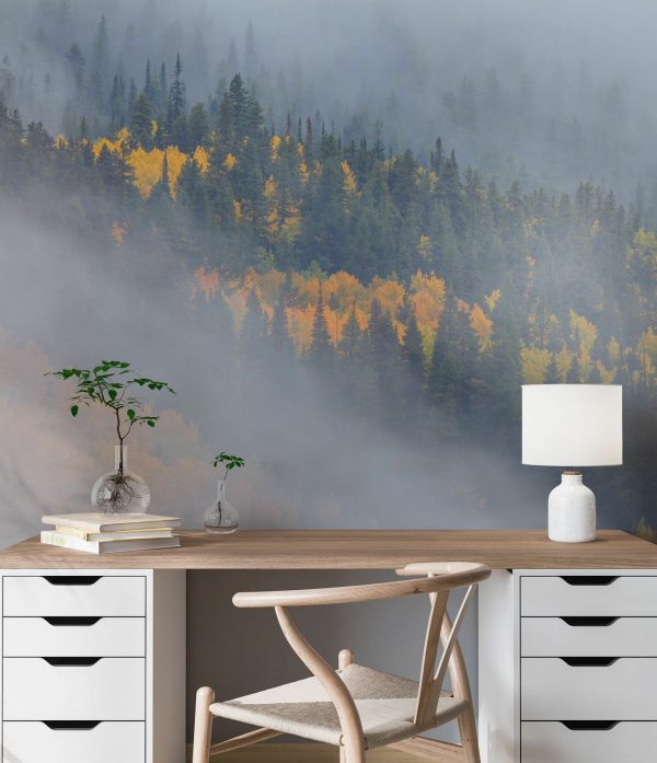 Nature | Autumn Epithany II Wall Mural Forests Forests