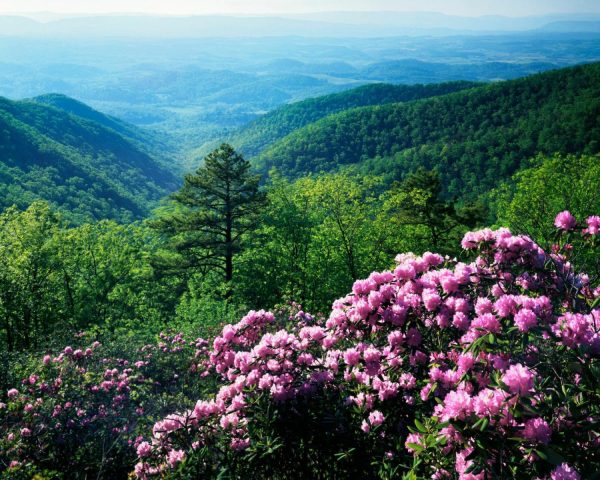 Nature | Blue Ridge Mountains Wall Mural Landscapes & Scenic Landscapes & Scenic