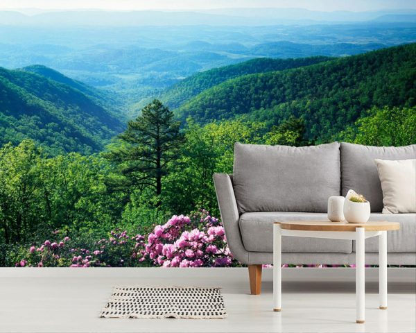 Nature | Blue Ridge Mountains Wall Mural Landscapes & Scenic Landscapes & Scenic