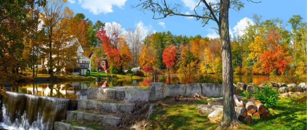 Nature | Chocorua Park Autumn in Maine Wall Mural Forests Forests