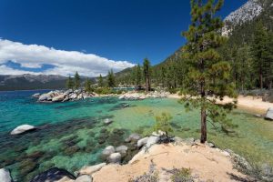 Nature | Crystal Clear Waters Of Lake Tahoe Mural Wallpaper Landscapes & Scenic Landscapes & Scenic