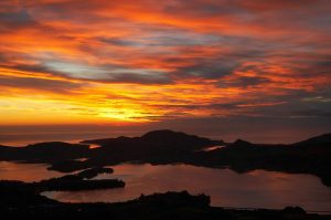 Nature | Dawn – Otago Harbour, New Zealand Mural Wallpaper Landscapes & Scenic Landscapes & Scenic