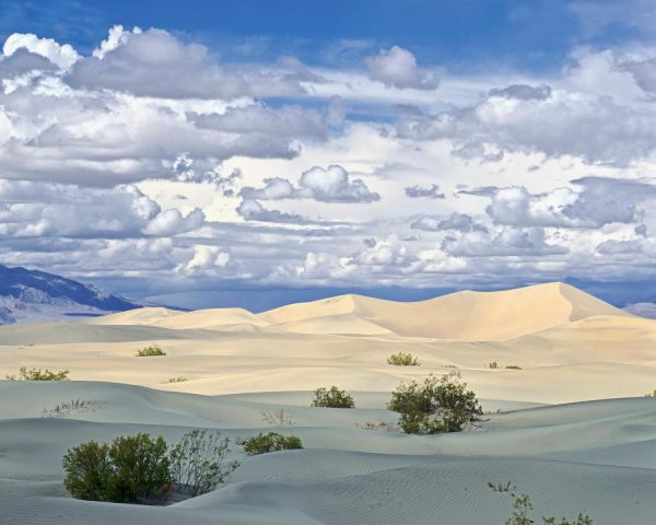 Nature | Death Valley Dunes Wallpaper Mural Landscapes & Scenic Landscapes & Scenic