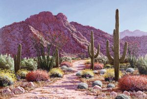 Nature | Desert In Bloom Mural Wallpaper Landscapes & Scenic Landscapes & Scenic