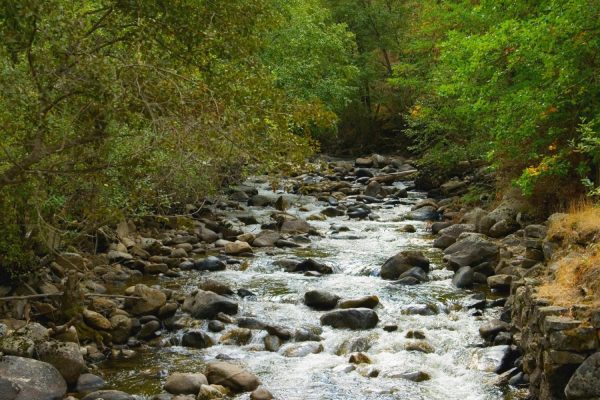 Nature | Elkhorn Creek 2 Wallpaper Mural Landscapes & Scenic Landscapes & Scenic