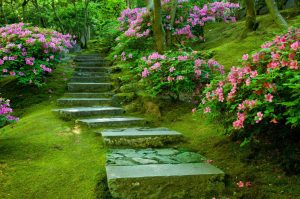 Nature | Garden Pathway Mural Wallpaper Wallpaper Murals Nature