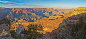 Nature | Grand Canyon Moonrise Wall Mural Extra Large Extra Large