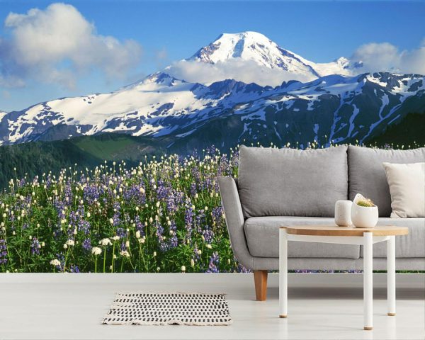 Nature | Mt. Baker Snoqualmie Nat. Forest Meadows Wall Mural Landscapes & Scenic Landscapes & Scenic