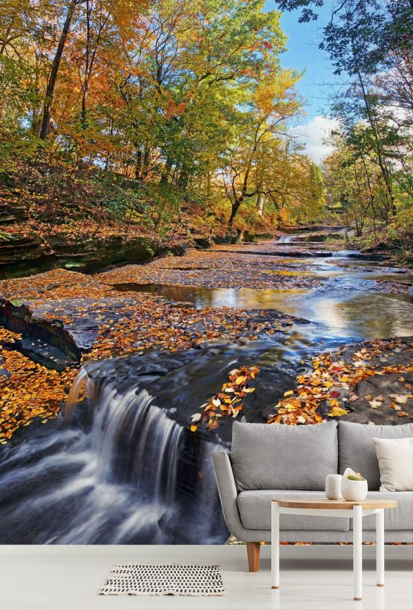 Nature | Splendor at Skillet Creek Wall Mural Forests Forests