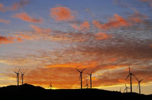 Nature | Te Apiti Wind Farm Sunset Wall Mural Colors Colors