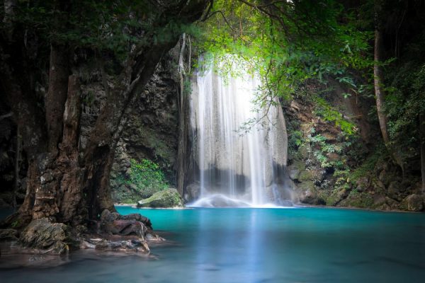 Nature | Thailand Jungle Cove Mural Wallpaper Nature Nature