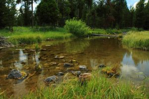 Nature | Unnamed Creek Wallpaper Mural Landscapes & Scenic Landscapes & Scenic