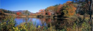 Panoramic | Autumn Colors Wallpaper Mural Forests Forests