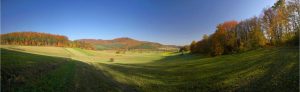 Panoramic | Autumn Field Landscape Wall Mural Forests Forests