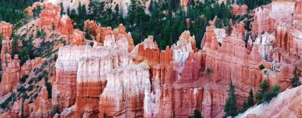 Panoramic | Bryce Canyon Rock Formation Wall Mural Extra Large Extra Large