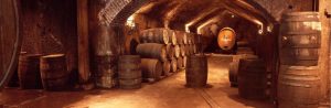 Panoramic | Buena Vista Winery Wine Barrels Wall Mural Activities & Leisure Activities & Leisure