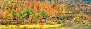 Panoramic | Cantilever Bridge In Autumn Trees Wall Murals Architectural Architectural