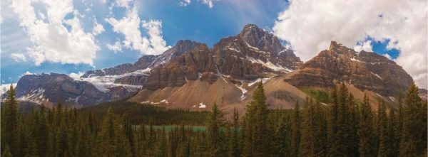 Panoramic | Crowfoot Glacier Wall Mural Extra Large Extra Large