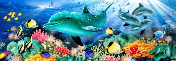 Panoramic | Dolphin Light Wallpaper Mural Animals Animals