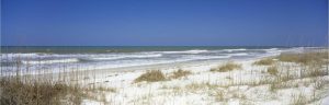 Panoramic | Grass On The Beach In The Gulf Of Mexico Wall Mural Beach & Tropical Beach & Tropical