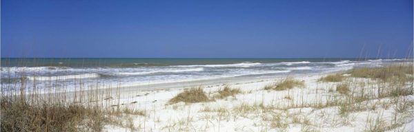 Panoramic | Grass On The Beach In The Gulf Of Mexico Wall Mural Beach & Tropical Beach & Tropical