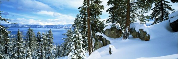 Panoramic | Snow Covered Trees On Mountainside Wall Mural Extra Large Extra Large